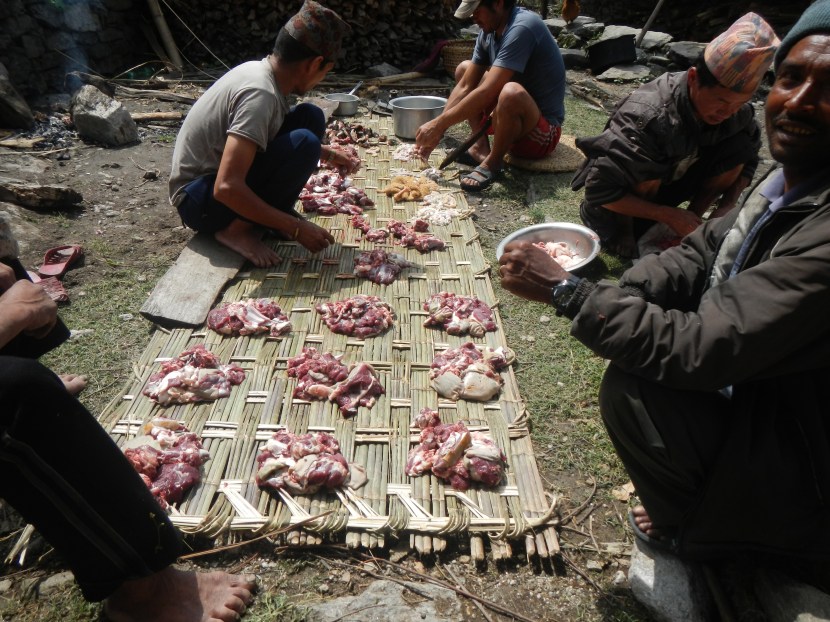 Fresh goat.......love it.