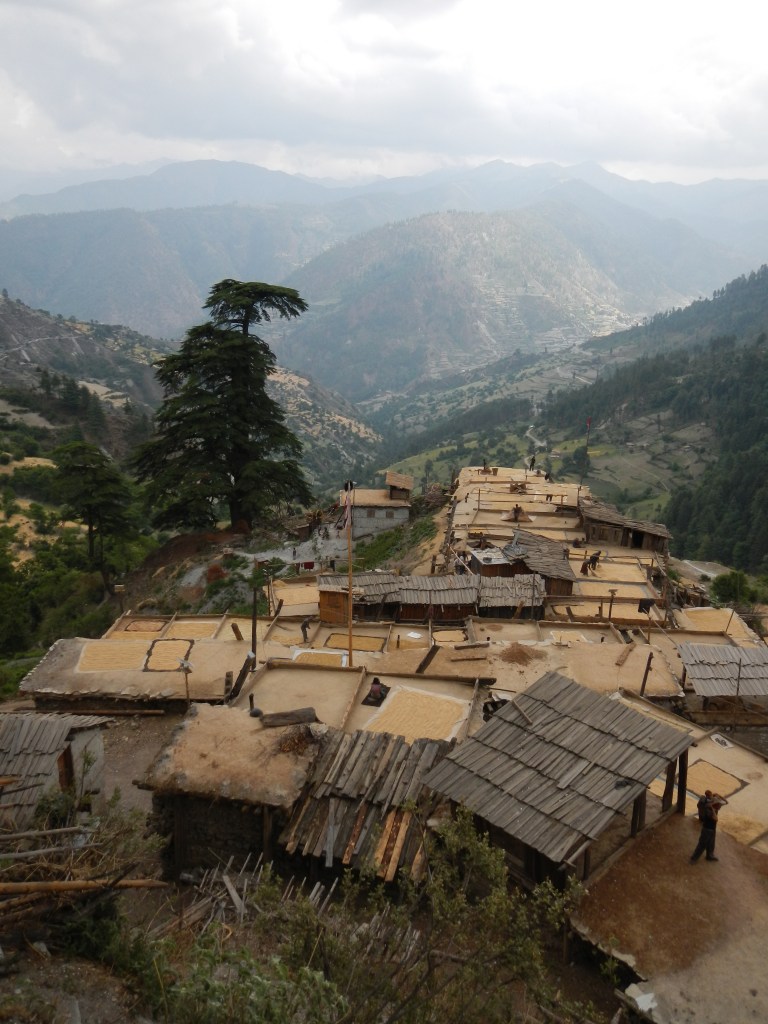 Small quaint village near Lake Rara, maximising its space by using the roofs as work space.  